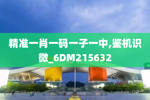 精准一肖一码一子一中,鉴机识微_6DM215632