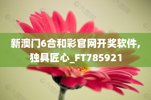 新澳门6合和彩官网开奖软件,独具匠心_FT785921