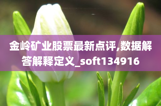 金岭矿业股票最新点评,数据解答解释定义_soft134916