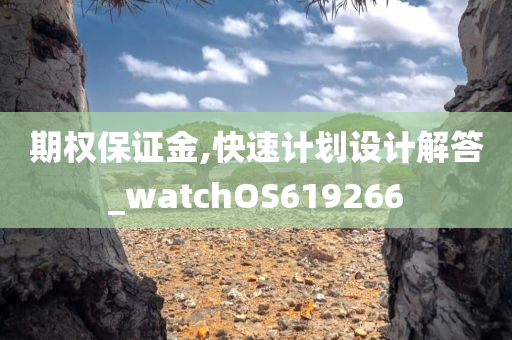 期权保证金,快速计划设计解答_watchOS619266