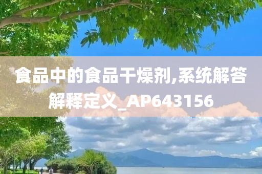 食品中的食品干燥剂,系统解答解释定义_AP643156