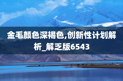 金毛颜色深褐色,创新性计划解析_解乏版6543