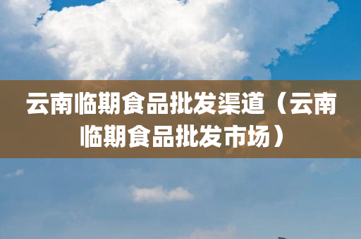 云南临期食品批发渠道（云南临期食品批发市场）