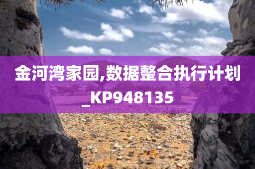 金河湾家园,数据整合执行计划_KP948135