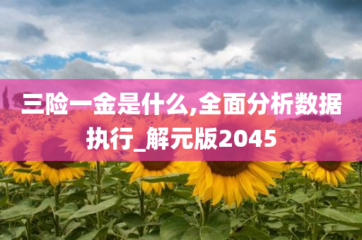 三险一金是什么,全面分析数据执行_解元版2045