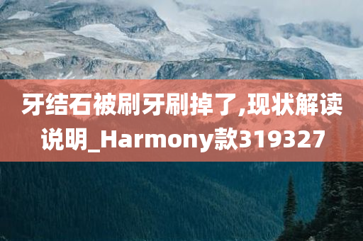 牙结石被刷牙刷掉了,现状解读说明_Harmony款319327