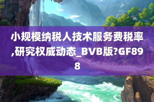 小规模纳税人技术服务费税率,研究权威动态_BVB版?GF898