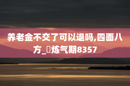 养老金不交了可以退吗,四面八方_‌炼气期8357