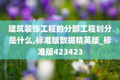 建筑装饰工程的分部工程划分是什么,标准版数据精英版_标准版423423