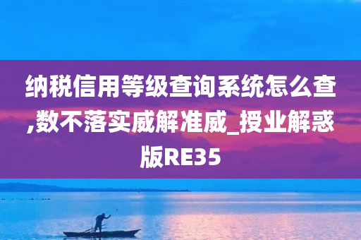 纳税信用等级查询系统怎么查,数不落实威解准威_授业解惑版RE35