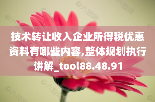 技术转让收入企业所得税优惠资料有哪些内容,整体规划执行讲解_tool88.48.91