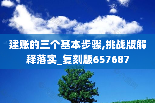 建账的三个基本步骤,挑战版解释落实_复刻版657687