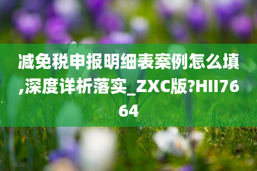 减免税申报明细表案例怎么填,深度详析落实_ZXC版?HII7664