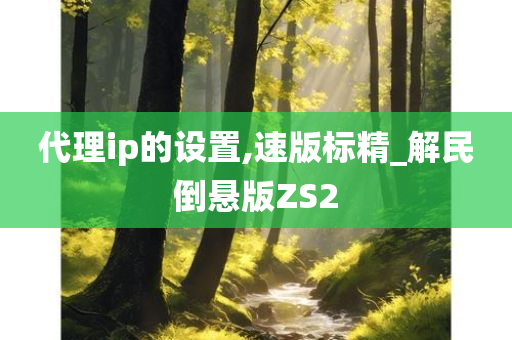 代理ip的设置,速版标精_解民倒悬版ZS2