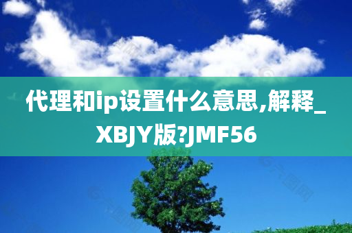 代理和ip设置什么意思,解释_XBJY版?JMF56