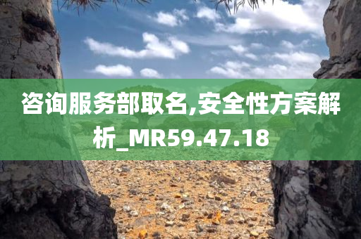 咨询服务部取名,安全性方案解析_MR59.47.18