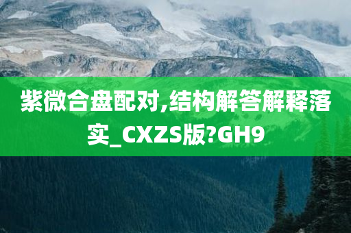 紫微合盘配对,结构解答解释落实_CXZS版?GH9