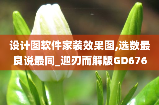 设计图软件家装效果图,选数最良说最同_迎刃而解版GD676