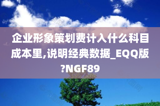 企业形象策划费计入什么科目成本里,说明经典数据_EQQ版?NGF89