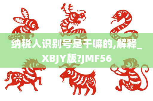 纳税人识别号是干嘛的,解释_XBJY版?JMF56