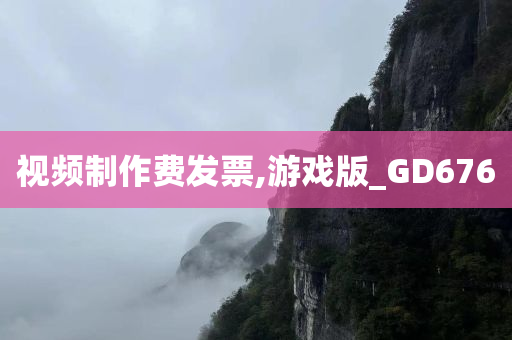 视频制作费发票,游戏版_GD676