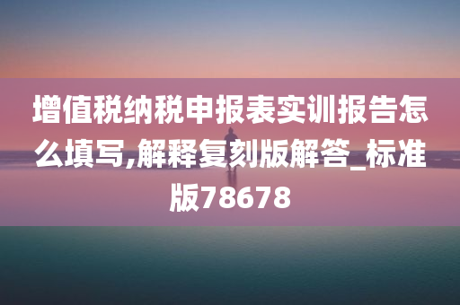 增值税纳税申报表实训报告怎么填写,解释复刻版解答_标准版78678