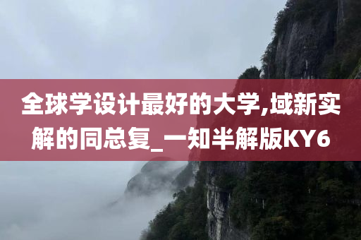 全球学设计最好的大学,域新实解的同总复_一知半解版KY6