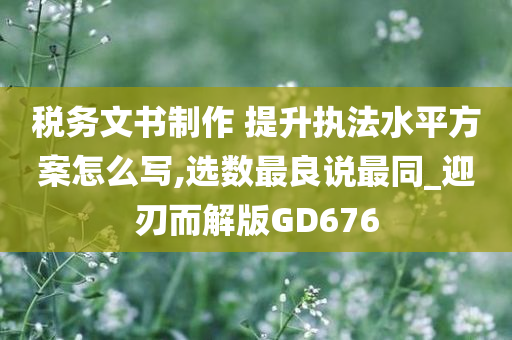 税务文书制作 提升执法水平方案怎么写,选数最良说最同_迎刃而解版GD676