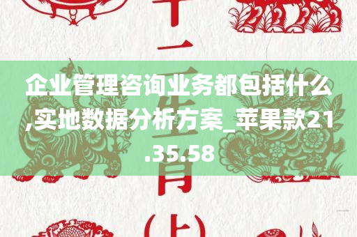 企业管理咨询业务都包括什么,实地数据分析方案_苹果款21.35.58