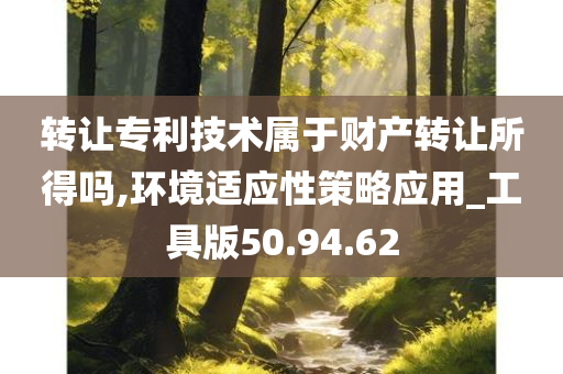 转让专利技术属于财产转让所得吗,环境适应性策略应用_工具版50.94.62