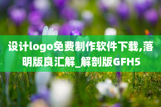 设计logo免费制作软件下载,落明版良汇解_解剖版GFH5