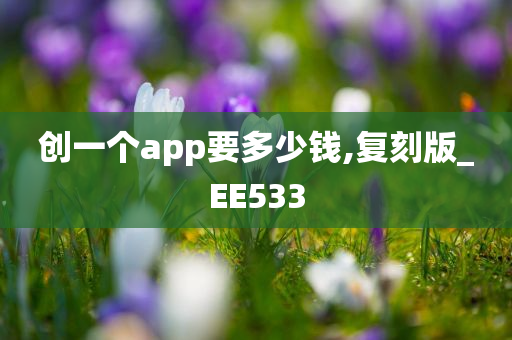 创一个app要多少钱,复刻版_EE533