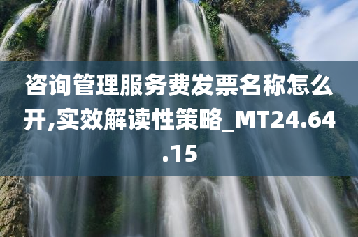 咨询管理服务费发票名称怎么开,实效解读性策略_MT24.64.15