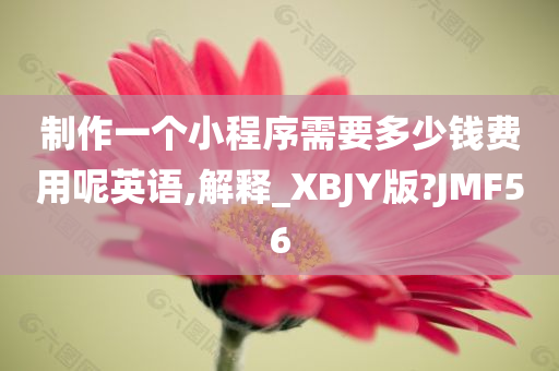 制作一个小程序需要多少钱费用呢英语,解释_XBJY版?JMF56