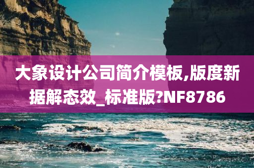 大象设计公司简介模板,版度新据解态效_标准版?NF8786