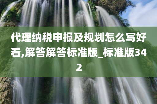 代理纳税申报及规划怎么写好看,解答解答标准版_标准版342