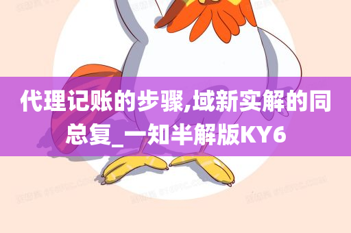 代理记账的步骤,域新实解的同总复_一知半解版KY6