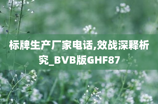 标牌生产厂家电话,效战深释析究_BVB版GHF87