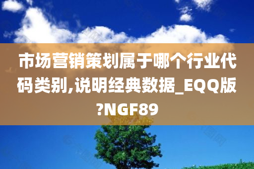 市场营销策划属于哪个行业代码类别,说明经典数据_EQQ版?NGF89