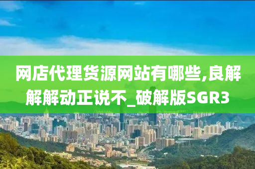 网店代理货源网站有哪些,良解解解动正说不_破解版SGR3