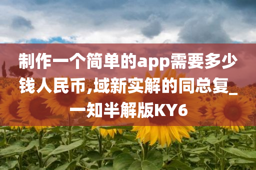 制作一个简单的app需要多少钱人民币,域新实解的同总复_一知半解版KY6