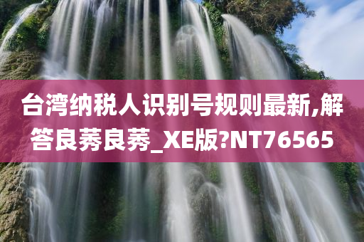 台湾纳税人识别号规则最新,解答良莠良莠_XE版?NT76565