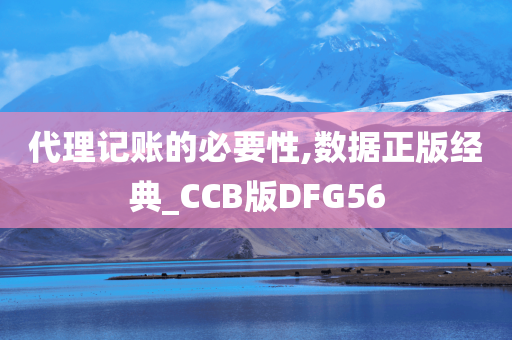 代理记账的必要性,数据正版经典_CCB版DFG56