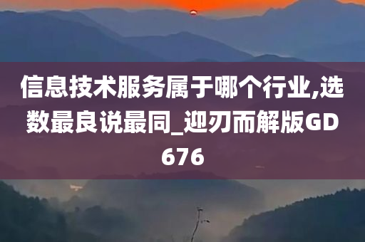 信息技术服务属于哪个行业,选数最良说最同_迎刃而解版GD676