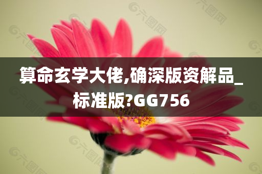 算命玄学大佬,确深版资解品_标准版?GG756