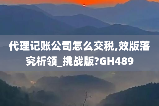 代理记账公司怎么交税,效版落究析领_挑战版?GH489