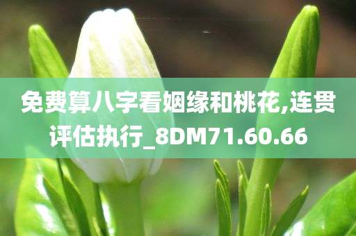 免费算八字看姻缘和桃花,连贯评估执行_8DM71.60.66