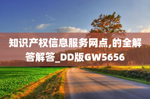 知识产权信息服务网点,的全解答解答_DD版GW5656