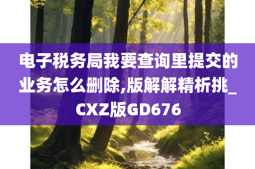 电子税务局我要查询里提交的业务怎么删除,版解解精析挑_CXZ版GD676