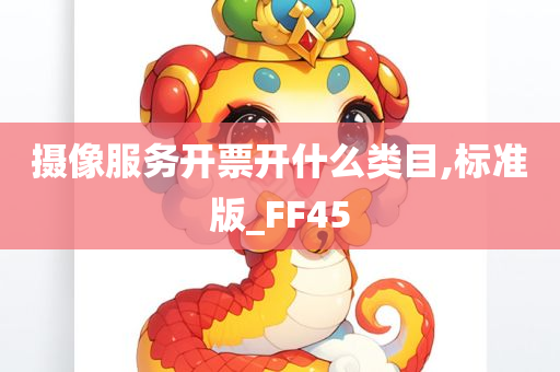 摄像服务开票开什么类目,标准版_FF45